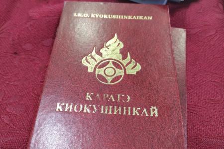 Коммунисты юга России организовали крупные соревнования по карате