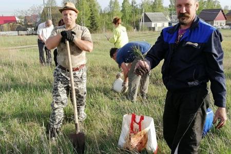Алтайский край. Коммунисты проводят акцию "Кедр в каждый двор"