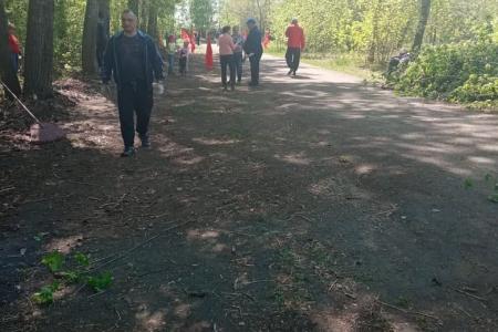 Алтайский край. Коммунисты проводят акцию "Кедр в каждый двор"