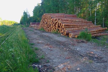 Свердловские коммунисты встали на защиту уральского егеря, которого пытался засудить предприниматель-единоросс