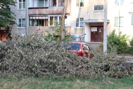 Ярославская область. Депутаты от КПРФ помогают жителям Резинотехники решить проблему благоустройства дворовой территории