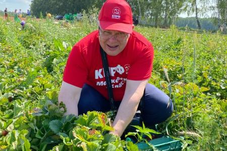 Красный десант подмосковных коммунистов помог собрать урожай земляники в совхозе им. Ленина