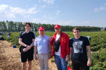 Красный десант подмосковных коммунистов помог собрать урожай земляники в совхозе им. Ленина