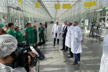 Московская область. Выращено в Луховицах: урожайность огурцов с каждым годом увеличивается