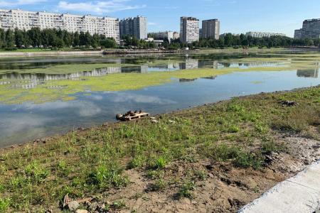 Москва. "Народная приемная" КПРФ в ВАО. Реконструкция Гольяновского парка и все прелести "бордюринга""