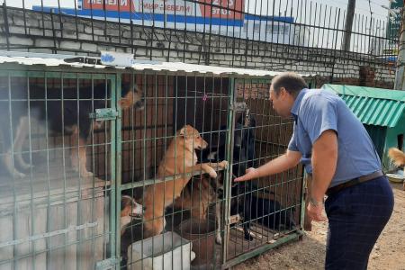 Рязанские коммунисты посетили рязанские приюты для безнадзорных животных