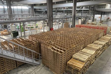 Московская область. Выращено в Луховицах: урожайность огурцов с каждым годом увеличивается