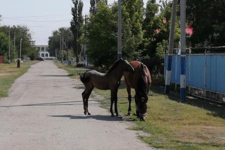Первый секретарь Саратовского обкома КПРФ Ольга Алимова посетила Советский район