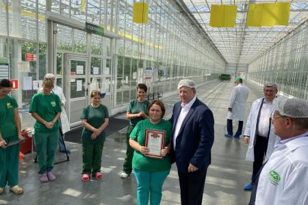 Московская область. Выращено в Луховицах: урожайность огурцов с каждым годом увеличивается