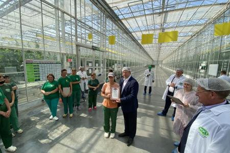Московская область. Выращено в Луховицах: урожайность огурцов с каждым годом увеличивается