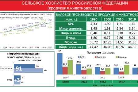 «Цель программы КПРФ – улучшить качество жизни наших граждан». Выступление В.И. Кашина на пресс-конференции в ИА ТАСС