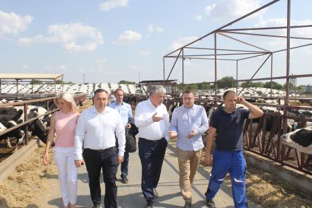Павел Грудинин посетил племенное хозяйство в Крыму