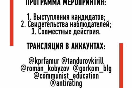 «Не признаем, не простим!»: интернет-митинг против фальсификации выборов провели коммунисты Приамурья
