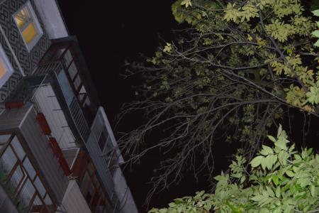 Калуга. Депутаты помогают ветеранам