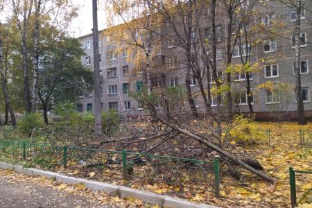 Калуга. Депутаты помогают ветеранам