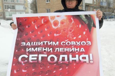 Великий Новгород: «Путин, останови рейдерский захват совхоза имени В.И. Ленина!»