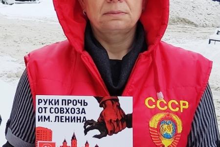 Архангельская область. «Грудинина не отдадим!»