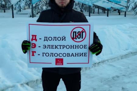 Ямало-Ненецкий автономный округ. Нет дистанционному электронному голосованию!