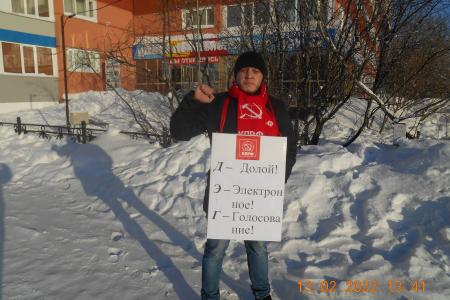 Ямало-Ненецкий автономный округ. Нет дистанционному электронному голосованию!