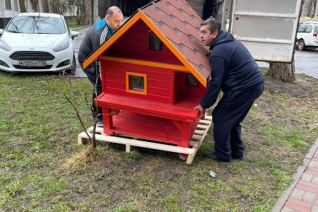 Санкт-Петербург. Доброе дело и кошке приятно