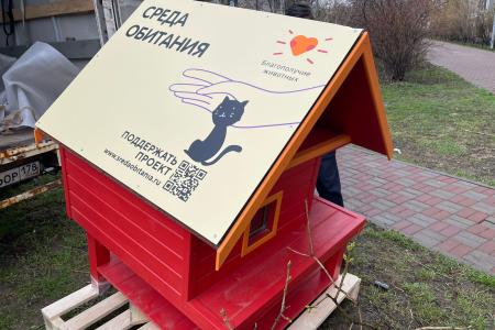 Санкт-Петербург. Доброе дело и кошке приятно
