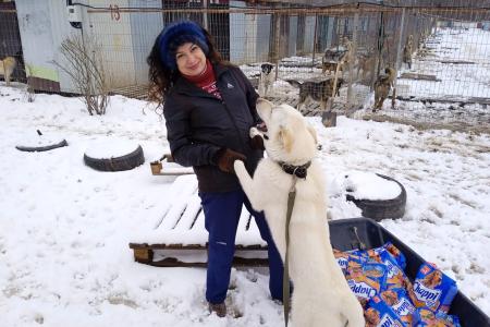 Калуга. Поможем братьям нашим меньшим!