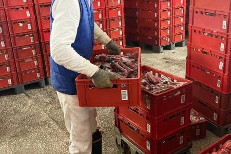 На народное предприятие в Марий Эл осуществлена хакерская атака
