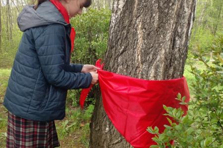 В Ленинградской области отметили 100-летие со дня образования Всесоюзной пионерской организации им. В.И. Ленина
