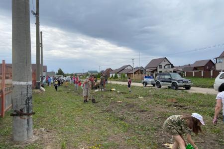 В Алтайском крае коммунисты реализуют масштабную экологическую акцию «Кедр – в каждый двор»