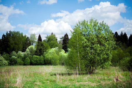 Родное Подмосковье глазами детей и молодёжи