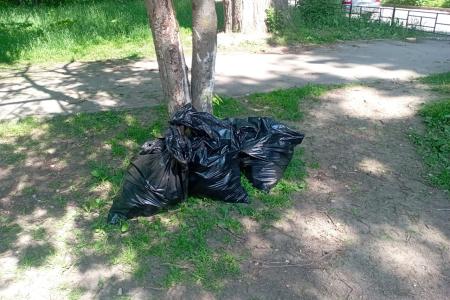 Калуга. "Красный десант". Коммунисты помогают жителям