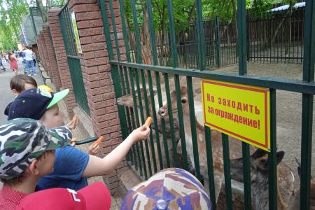 День защиты детей в Нижегородской области