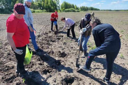 Тюменский обком принял участие в весенне-полевых работах