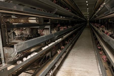 Ульяновская область. Сенатор А.М. Гибатдинов посетил учреждения агропромышленного комплекса