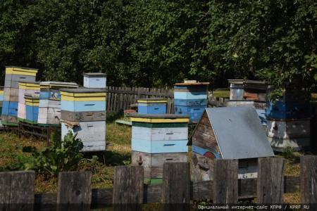 «Дорогой пчел». Г.А. Зюганов принял участие в празднике Большой Спас в Музее-заповеднике «Горки Ленинские»
