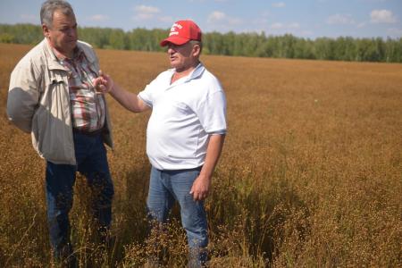 Депутат-коммунист Госдумы Ренат Сулейманов посетил с рабочим визитом Краснозерский район Новосибирской области