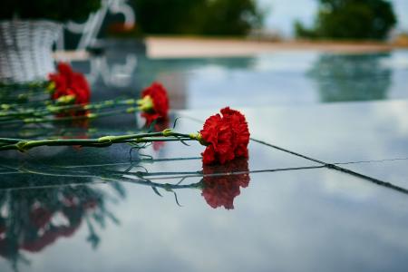В день 77-летия окончания Второй Мировой войны, Нижегородский обком КПРФ организовал возложение цветов к Вечному огню в Нижегородском Кремле