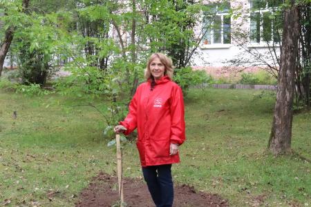 Архангельская область. Коммунисты Котласа и сторонники партии высадили яблони в честь Дня знаний и 105-летия города