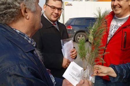 В Алтайском крае общественники совместно с КПРФ провели акцию «Кедр – в каждый двор!»