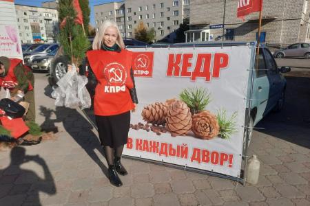 В Алтайском крае общественники совместно с КПРФ провели акцию «Кедр – в каждый двор!»