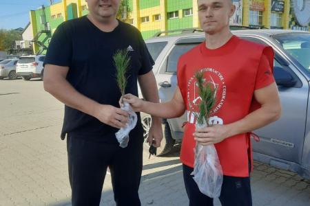 В Алтайском крае общественники совместно с КПРФ провели акцию «Кедр – в каждый двор!»