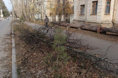 Как на самом деле проходит «мусорная реформа» в Ульяновске