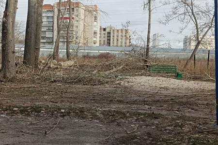 Как на самом деле проходит «мусорная реформа» в Ульяновске