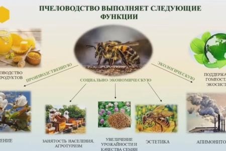 Г.А. Зюганов выступил на круглом столе «Северный мёд», посвящённом проблемам пчеловодства на российском Cевере