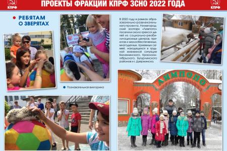 Проекты КПРФ в Нижегородской области