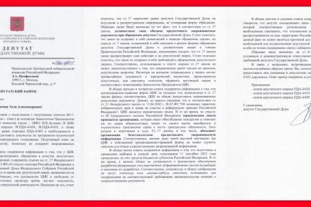 Денис Парфенов: Продолжаем добиваться правды от ЦИК!