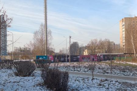В Рязани более 790 человек подписали обращение Денису Сидорову против строительства ЖК «Тринити»