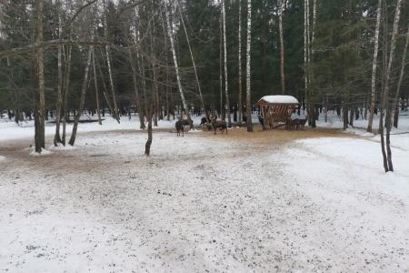 Руководитель фракции КПРФ в Мособлдуме Александр Наумов посетил с рабочим визитом биостанцию в Национальном парке «Лосиный Остров»