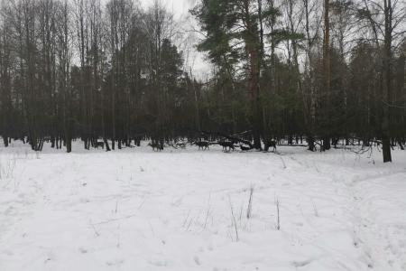 Руководитель фракции КПРФ в Мособлдуме Александр Наумов посетил с рабочим визитом биостанцию в Национальном парке «Лосиный Остров»