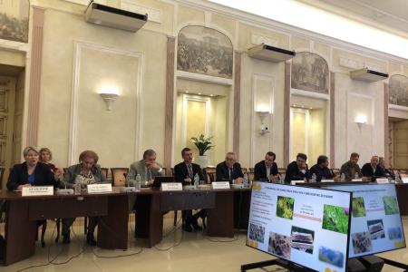 Олег Лебедев выступил в Общественной палате РФ на круглом столе, посвящённом экологическим проблемам гибели пчёл
